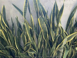 product-details