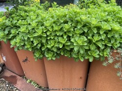 product-details