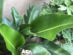 product-details