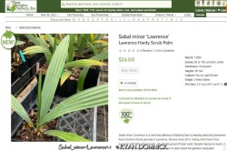 product-details
