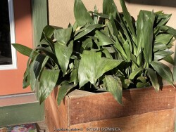 product-details