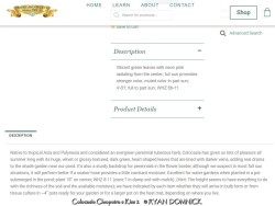product-details
