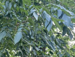 product-details