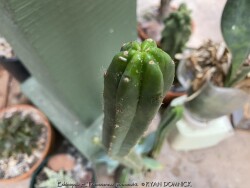 product-details