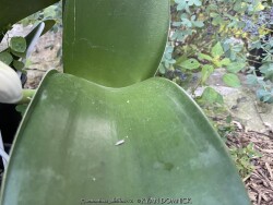 product-details